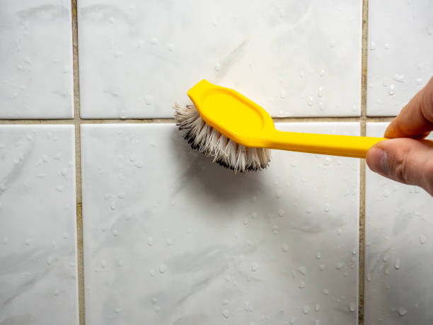 Best Black Mold Removal  in Garner, NC