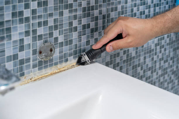 Best Mold Cleaning Services  in Garner, NC