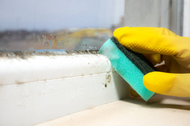 Best Crawl Space Mold Removal  in Garner, NC